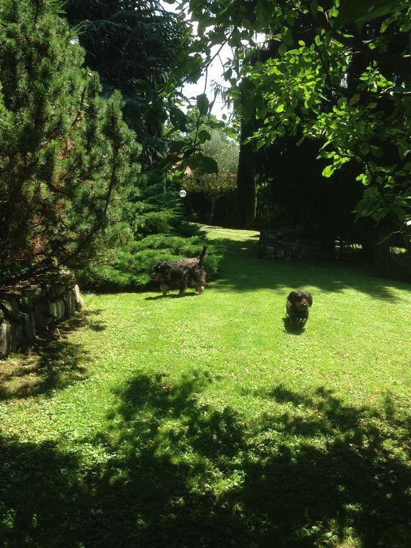 Il Pioppo Antico Lejlighed Viggiù Eksteriør billede